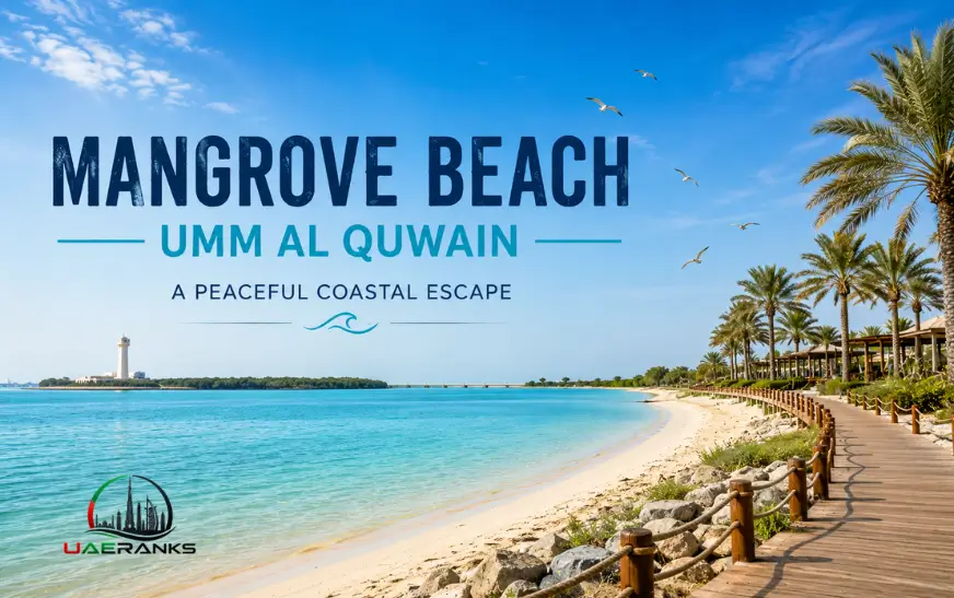 Mangrove Beach Umm Al Quwain | Things to Do, Fees and Travel Tips